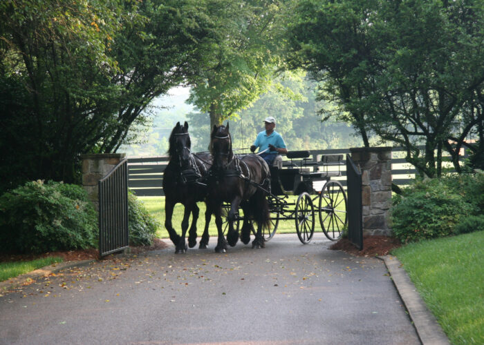 horse-drawn wagon